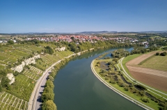 Der Fluss Neckar mit Weinterrassen bei Ludwigsburg in der Region Stuttgart