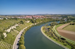Der Fluss Neckar mit Weinterrassen bei Ludwigsburg in der Region Stuttgart